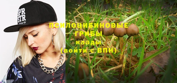 mdpv Баксан