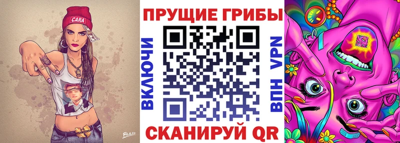 Купить  Далматово  Галлюциногенные грибы Magic Shrooms 